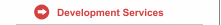 Development Services